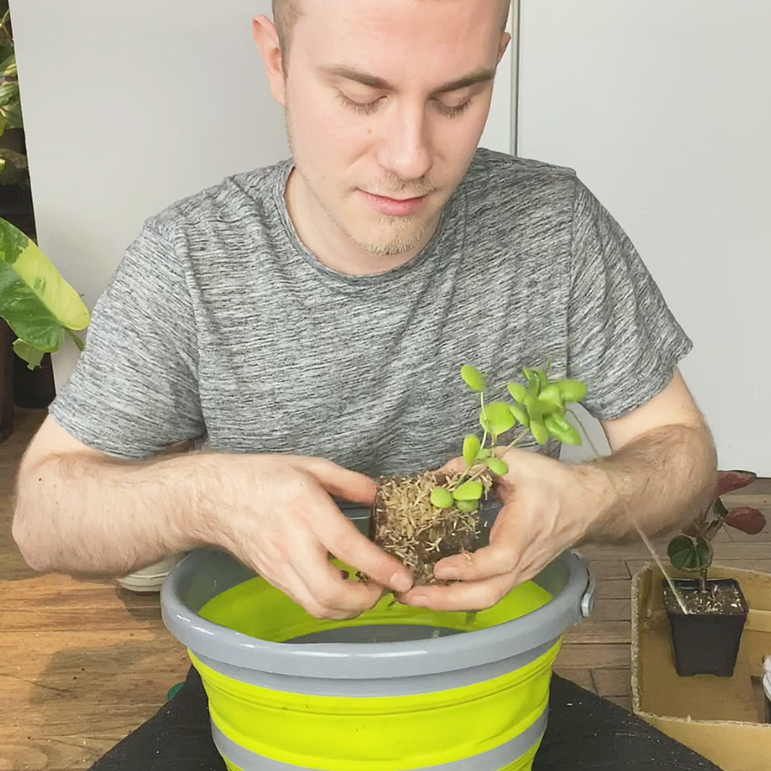The Best Tools for Indoor GardeningPlant parenting just got easier with