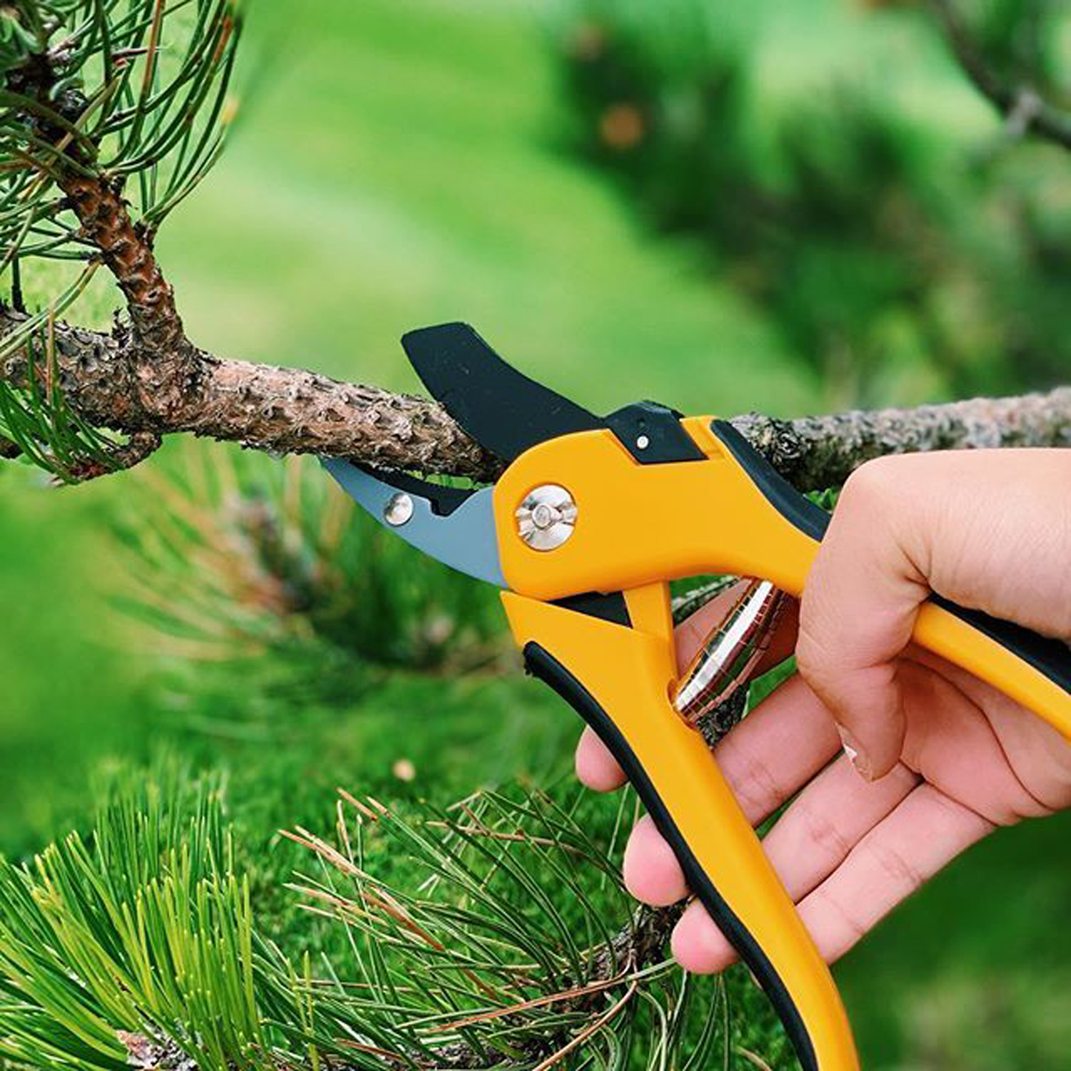 Garden Tools 101 Centurion Brands